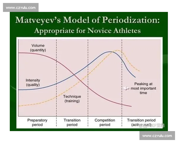 基于体育训练周期理论的科学规划与实战应用探索